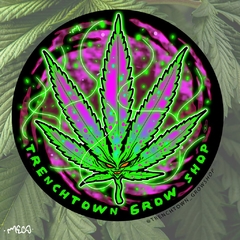 DISEÑO DE CAPSULA - TRENCHTOWN GROWSHOP en internet