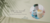 Banner rotativo 2