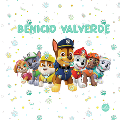 Set Jardín paw patrol