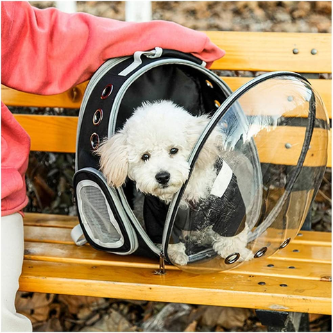 Mochila Bolso Mascotas Gato Perro Capsula Burbuja Espacial