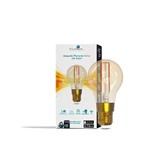 Lâmpada LED Smart Bulbo Filamento Dimerizável 5W 1800K-2400K 9873 GAYA