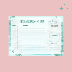 Planner Diario - comprar online