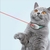 Imagem do Colar para Gatos com Laser