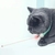 Colar para Gatos com Laser - comprar online