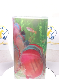 Tarro alusivo a peces y plecos. Discus Río Amazon - comprar en línea