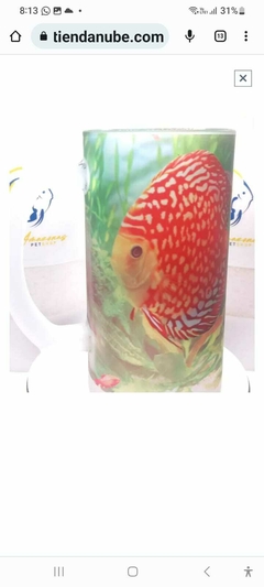 Tarro alusivo a peces y plecos. Discus Río Amazon - Discus Río Amazon Aquarium & Pet Store