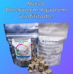 Black Worms liofilizado 10 gr. Alimento para peces. - tienda en línea