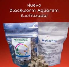 Black Worms liofilizado 10 gr. Alimento para peces. - Discus Río Amazon Aquarium & Pet Store