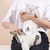 Escova Massageadora Para Pets - comprar online