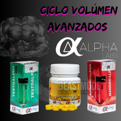 Ciclo Volúmen Alpha Labs Avanzados ( incluye protectores)