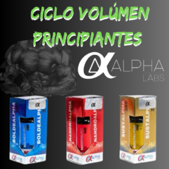 Ciclo principiantes Alpha Labs