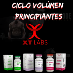 Ciclo XT Labs Volúmen principiantes 3 productos +protector hormonal.