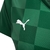 Camisa Palmeiras I 21/22 Verde - Puma - Feminina - FUTPEDIA | ARTIGOS ESPORTIVOS