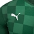 Camisa Palmeiras I 21/22 Verde - Puma - Masculino Torcedor - FUTPEDIA | ARTIGOS ESPORTIVOS