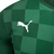 Camisa Palmeiras Home 21/22 Verde - Puma - Masculino Torcedor - FUTPEDIA | ARTIGOS ESPORTIVOS