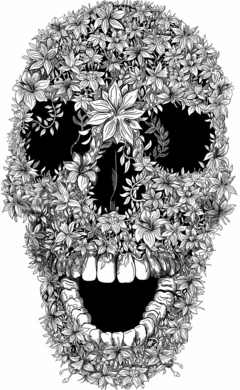 Floral Skull - comprar online