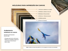Blue-and-yellow macaws in a flock, Alto Paraíso - online store