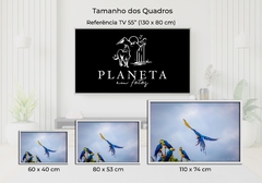 Image of Blue-and-yellow macaws in a flock, Alto Paraíso