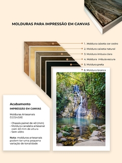 Cachoeira Pedreira, Pirenópolis de Goiás - loja online