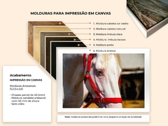 Quadro de Cavalo Branco, India - loja online