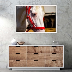 Quadro de Cavalo Branco, India - comprar online