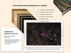 Flor Quaresmeira do Cerrado, Cavalcante de Goiás - loja online