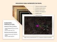 Flor Quaresmeira do Cerrado, Cavalcante de Goiás - Quadros Exclusivos - Decoração Fine Art para seu ambiente | Planeta em Fotos