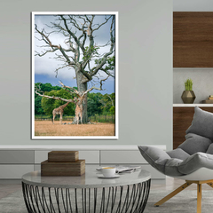 Quadro de Girafas, Dinamarca - comprar online