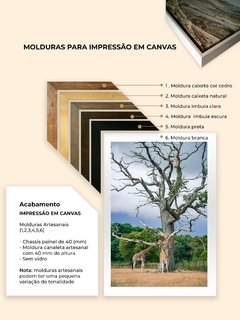 Quadro de Girafas, Dinamarca - loja online