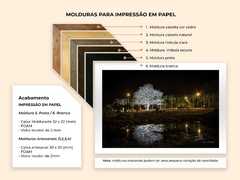 Ipê Branco, Cerrado Goiano - Quadros Exclusivos - Decoração Fine Art para seu ambiente | Planeta em Fotos