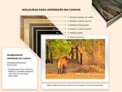 Picture of Maned Wolf, Goiás - online store