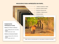 Cuadro de Lobo de crin, Goiás - Quadros Exclusivos - Decoração Fine Art para seu ambiente | Planeta em Fotos