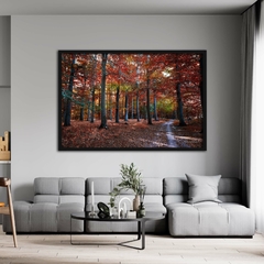 Floresta no Outono, Dinamarca - Quadros Exclusivos - Decoração Fine Art para seu ambiente | Planeta em Fotos