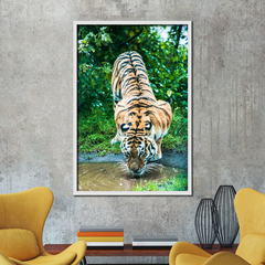 Tigre de Bengala, Dinamarca - comprar online