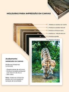 Tigre de Bengala, Dinamarca - loja online