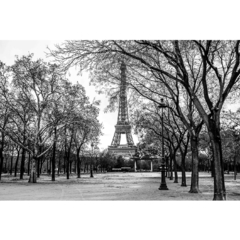 Quadro da Torre Eiffel, Paris