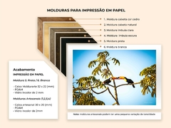 Casal de Tucanos, Cerrado Goiano - Quadros Exclusivos - Decoração Fine Art para seu ambiente | Planeta em Fotos