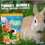 FUNNY BUNNY 500G - comprar online