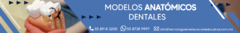 Banner de la categoría MODELOS ANATÓMICOS DENTALES