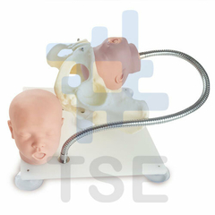 simulador de pelvis fetal