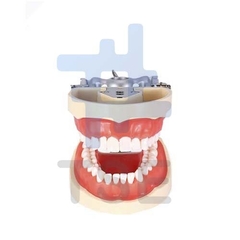 tipodonto dental, tipodonto tipo columbia, juego de dientes de resina,simulador dental precio,  frasaco dental , 