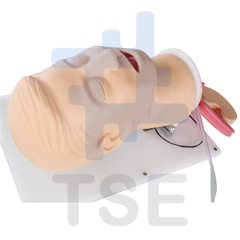 CABEZA ENTRENADOR VIAS RESPIRATORIAS - Simuladores Médicos - Maniquíes RCP | TSE