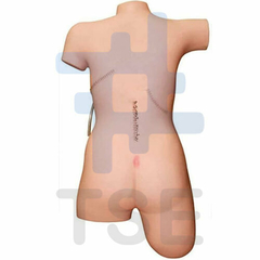 simulador de cuerpo para suturas