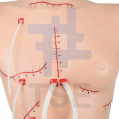 simulador de cuerpo para suturas