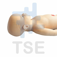 simulador neonatal