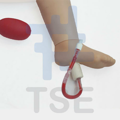 simulador de pierna intraosea