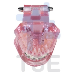 simulador de ortodoncia