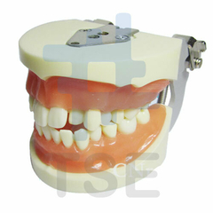 suministros para dentistas