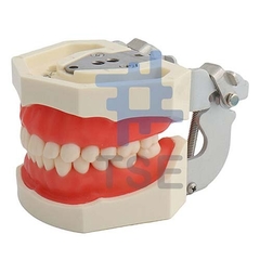 simulador dental precio, simulador dental con phantom, simulador dental de mesa 