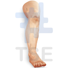 sutura en la pierna